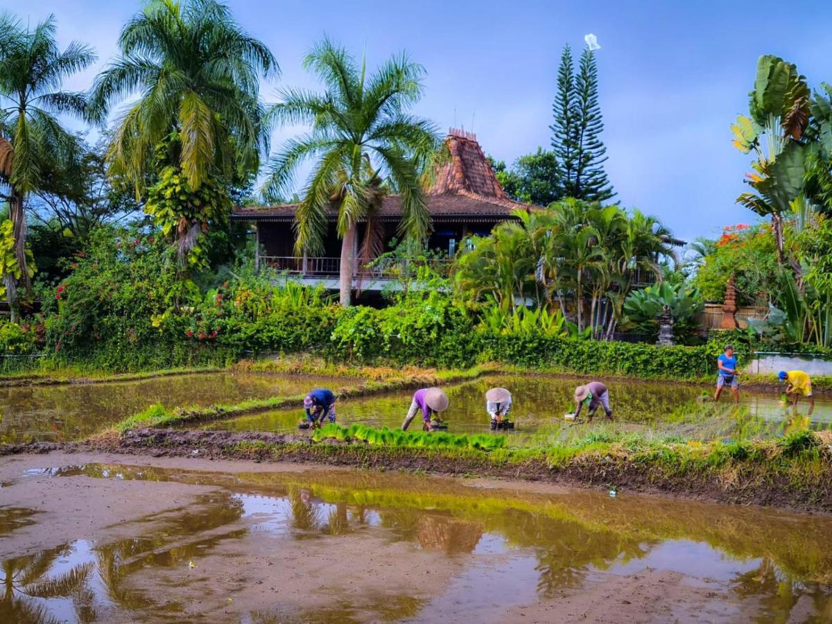 Ayu Dira Heritage House Ubud Eksteriør bilde